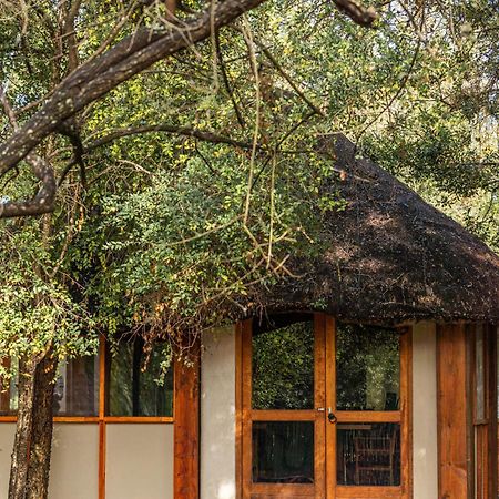 Ndzhaka Tented Camp Manyeleti Game Reserve Εξωτερικό φωτογραφία