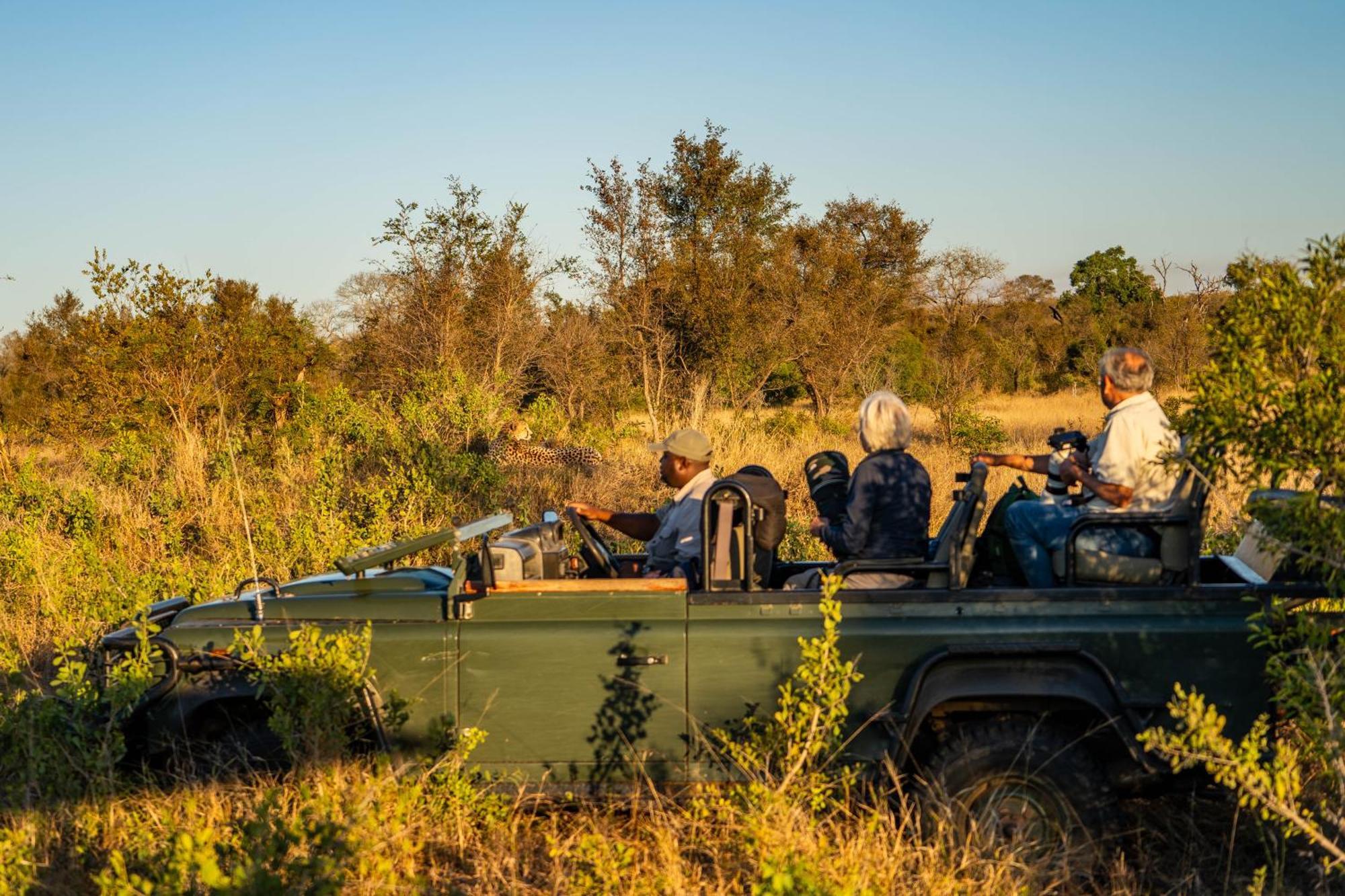 Ndzhaka Tented Camp Manyeleti Game Reserve Εξωτερικό φωτογραφία