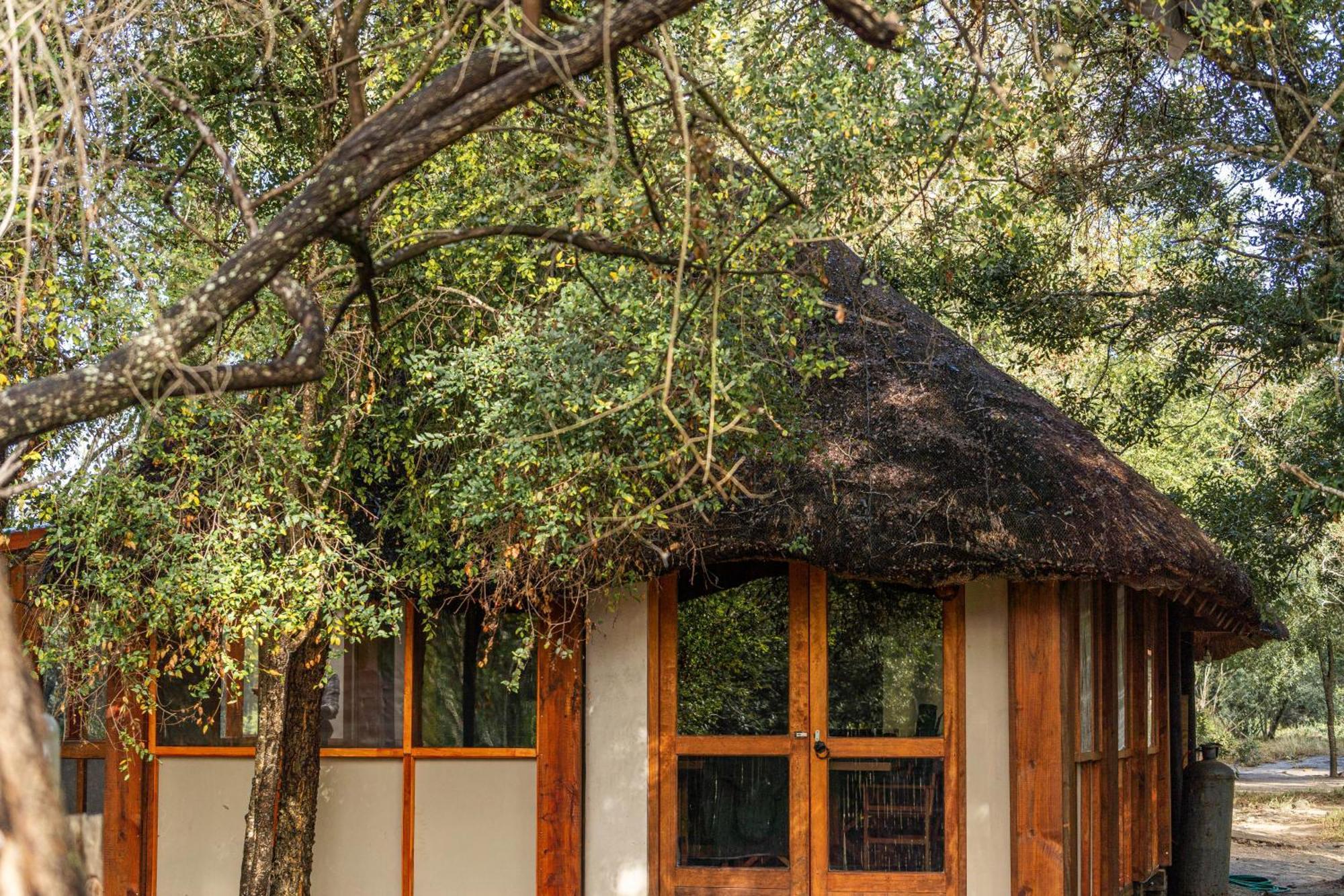 Ndzhaka Tented Camp Manyeleti Game Reserve Εξωτερικό φωτογραφία