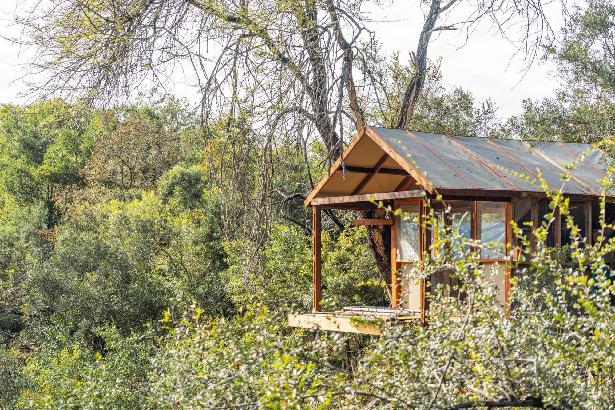 Ndzhaka Tented Camp Manyeleti Game Reserve Εξωτερικό φωτογραφία