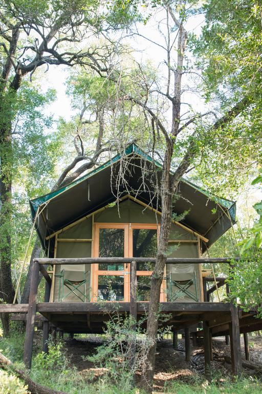 Ndzhaka Tented Camp Manyeleti Game Reserve Εξωτερικό φωτογραφία