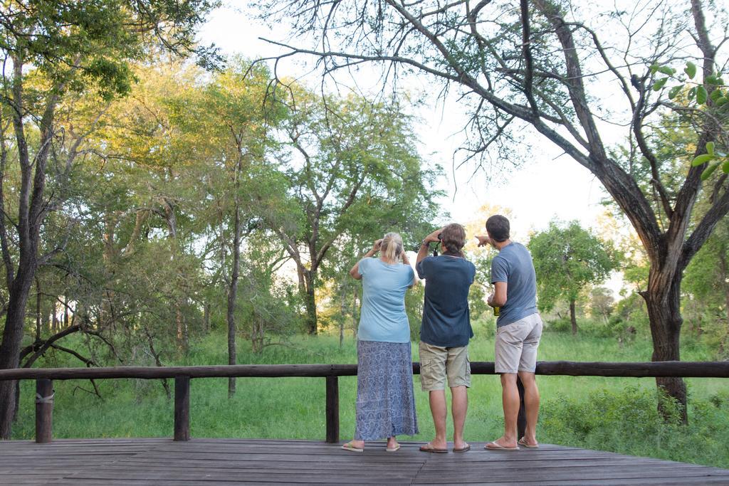 Ndzhaka Tented Camp Manyeleti Game Reserve Εξωτερικό φωτογραφία