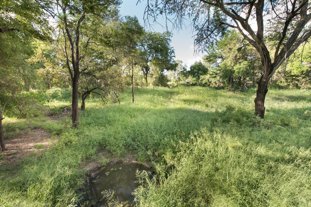 Ndzhaka Tented Camp Manyeleti Game Reserve Εξωτερικό φωτογραφία
