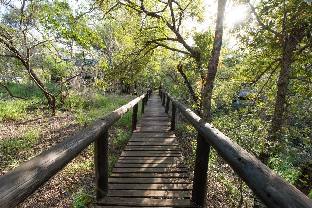 Ndzhaka Tented Camp Manyeleti Game Reserve Εξωτερικό φωτογραφία