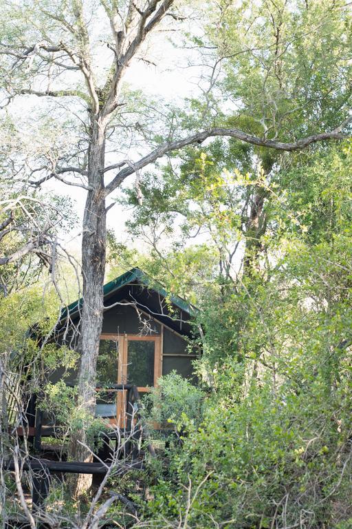 Ndzhaka Tented Camp Manyeleti Game Reserve Εξωτερικό φωτογραφία
