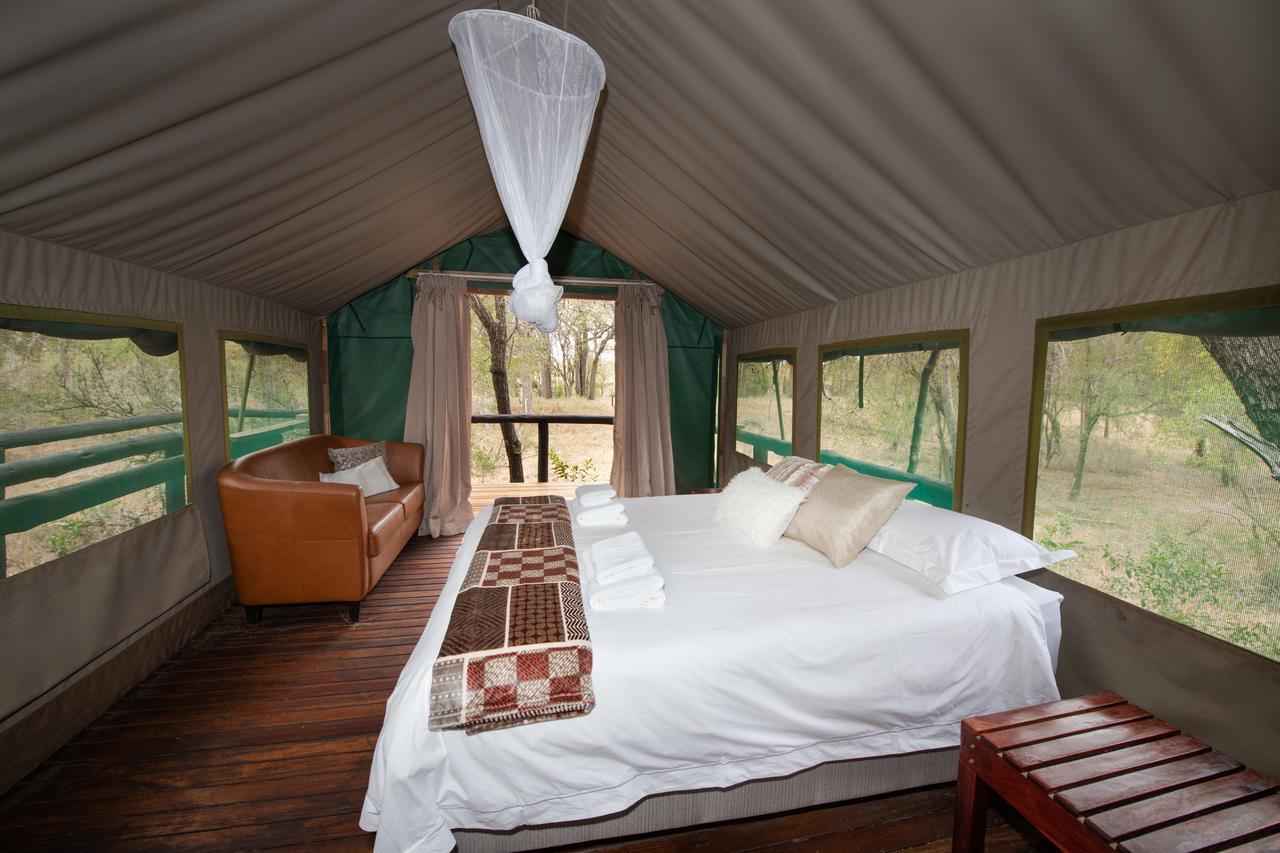 Ndzhaka Tented Camp Manyeleti Game Reserve Εξωτερικό φωτογραφία