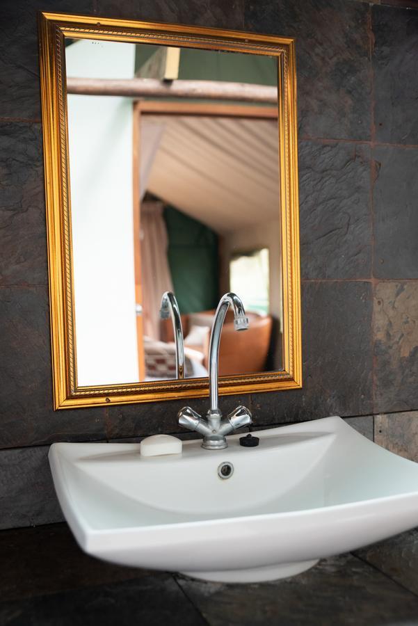 Ndzhaka Tented Camp Manyeleti Game Reserve Εξωτερικό φωτογραφία